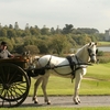 Dromoland Castle 1 image